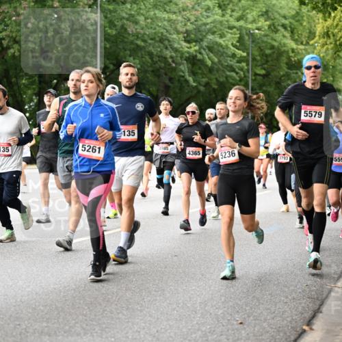 06.09.2026 - CURREX Alsterlauf Dr. Thomas Lammeyer http://msf.ph/oto/10115255 06.09.2026 09:10:08 Laufen 6216, 818, 5261, 4135, 135, 4985, 5579, 4365, 5236, 3793, 5596 meine-sportfotos.de