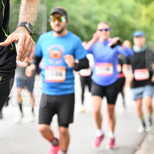 06.09.2026 - CURREX Alsterlauf Dr. Thomas Lammeyer http://msf.ph/oto/10115269 06.09.2026 09:10:10 Laufen 79 meine-sportfotos.de