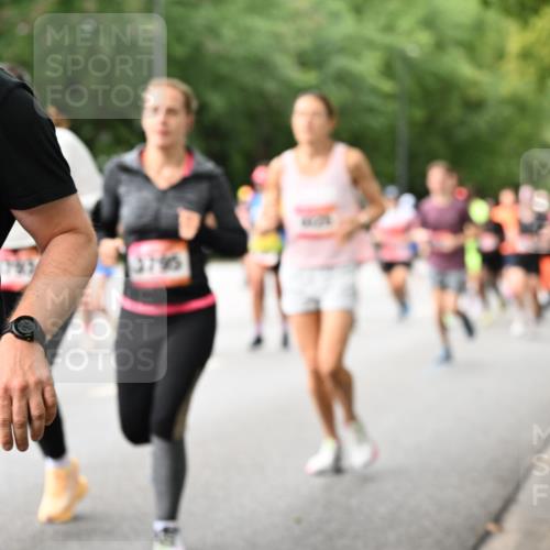 06.09.2026 - CURREX Alsterlauf Dr. Thomas Lammeyer http://msf.ph/oto/10115280 06.09.2026 09:10:12 Laufen 0, 3795 meine-sportfotos.de