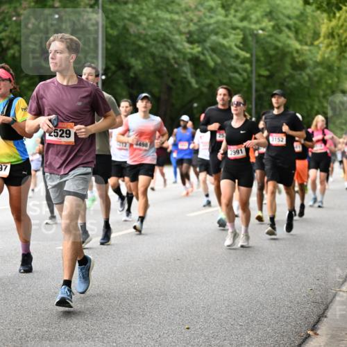06.09.2026 - CURREX Alsterlauf Dr. Thomas Lammeyer http://msf.ph/oto/10115295 06.09.2026 09:10:14 Laufen 6397, 2529, 12498, 3152, 3991 meine-sportfotos.de