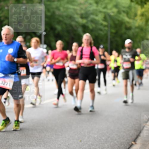 06.09.2026 - CURREX Alsterlauf Dr. Thomas Lammeyer http://msf.ph/oto/10115332 06.09.2026 09:10:20 Laufen 5550, 3271 meine-sportfotos.de