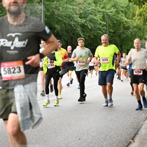 06.09.2026 - CURREX Alsterlauf Dr. Thomas Lammeyer http://msf.ph/oto/10115350 06.09.2026 09:10:23 Laufen 518, 5, 5823, 5782, 100, 5976, 8226, 5250 meine-sportfotos.de