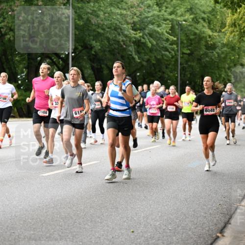 06.09.2026 - CURREX Alsterlauf Dr. Thomas Lammeyer http://msf.ph/oto/10115383 06.09.2026 09:10:28 Laufen 4091, 3217, 2188, 2908, 33, 6162, 6239, 448, 4691, 4717, 6048, 2966, 5110 meine-sportfotos.de