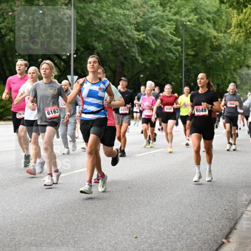 06.09.2026 - CURREX Alsterlauf Dr. Thomas Lammeyer http://msf.ph/oto/10115386 06.09.2026 09:10:28 Laufen 4091, 2188, 290, 6163, 536, 4274, 4691, 4717, 6048, 2966, 5110 meine-sportfotos.de