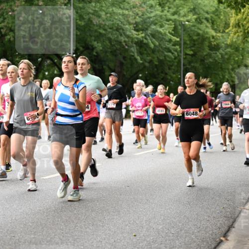 06.09.2026 - CURREX Alsterlauf Dr. Thomas Lammeyer http://msf.ph/oto/10115389 06.09.2026 09:10:28 Laufen 3217, 2188, 129, 14274, 2966, 4691, 5110, 4717, 6048 meine-sportfotos.de