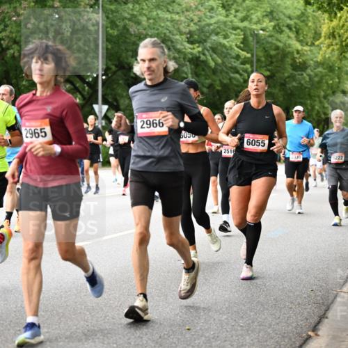 06.09.2026 - CURREX Alsterlauf Dr. Thomas Lammeyer http://msf.ph/oto/10115419 06.09.2026 09:10:32 Laufen 23, 34, 6239, 2965, 2966, 6050, 2516, 6055, 2338, 5222 meine-sportfotos.de