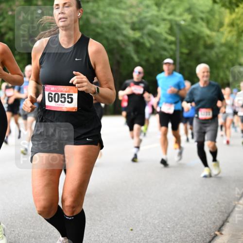 06.09.2026 - CURREX Alsterlauf Dr. Thomas Lammeyer http://msf.ph/oto/10115432 06.09.2026 09:10:34 Laufen 6050, 6055 meine-sportfotos.de
