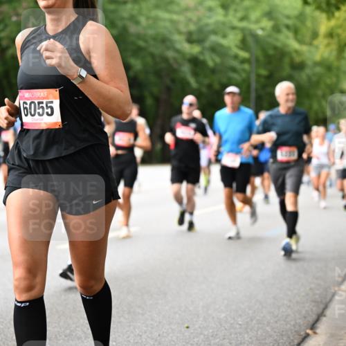 06.09.2026 - CURREX Alsterlauf Dr. Thomas Lammeyer http://msf.ph/oto/10115433 06.09.2026 09:10:34 Laufen 6050, 6055 meine-sportfotos.de