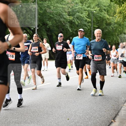 06.09.2026 - CURREX Alsterlauf Dr. Thomas Lammeyer http://msf.ph/oto/10115434 06.09.2026 09:10:34 Laufen 6055, 2516, 23, 202, 2089, 3629, 2339, 5222, 3546 meine-sportfotos.de