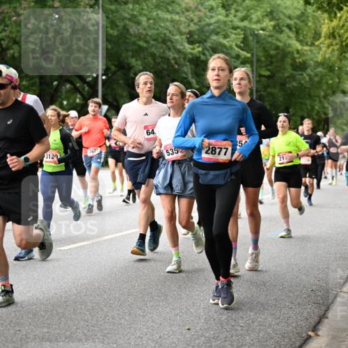 06.09.2026 - CURREX Alsterlauf Dr. Thomas Lammeyer http://msf.ph/oto/10115492 06.09.2026 09:10:42 Laufen 355, 3119, 2672, 3120, 64, 535, 2877, 35, 21, 2336, 089 meine-sportfotos.de