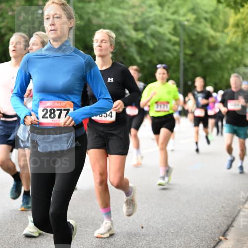 06.09.2026 - CURREX Alsterlauf Dr. Thomas Lammeyer http://msf.ph/oto/10115500 06.09.2026 09:10:43 Laufen 3120, 2877, 7554 meine-sportfotos.de