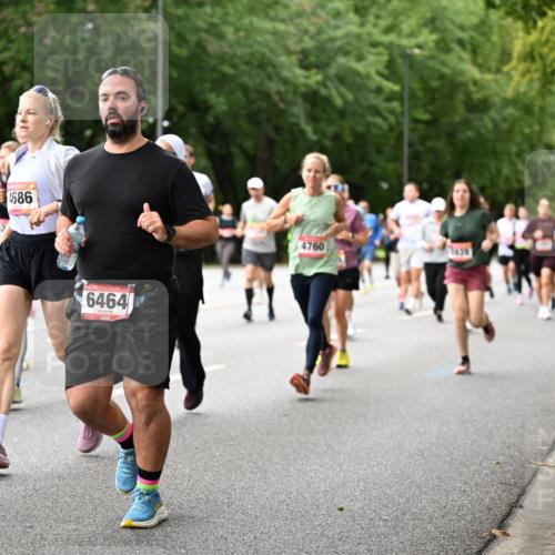 06.09.2026 - CURREX Alsterlauf Dr. Thomas Lammeyer http://msf.ph/oto/10115553 06.09.2026 09:10:50 Laufen 4092, 4686, 6464, 4760 meine-sportfotos.de
