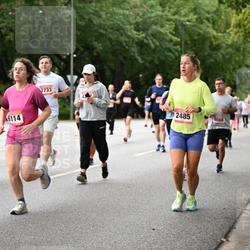 06.09.2026 - CURREX Alsterlauf Dr. Thomas Lammeyer http://msf.ph/oto/10115582 06.09.2026 09:10:55 Laufen 2356, 6114, 2733, 2485, 6065 meine-sportfotos.de