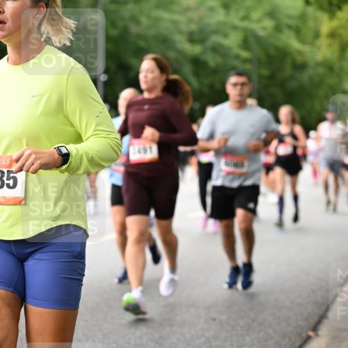06.09.2026 - CURREX Alsterlauf Dr. Thomas Lammeyer http://msf.ph/oto/10115594 06.09.2026 09:10:57 Laufen 354, 2485, 2491 meine-sportfotos.de