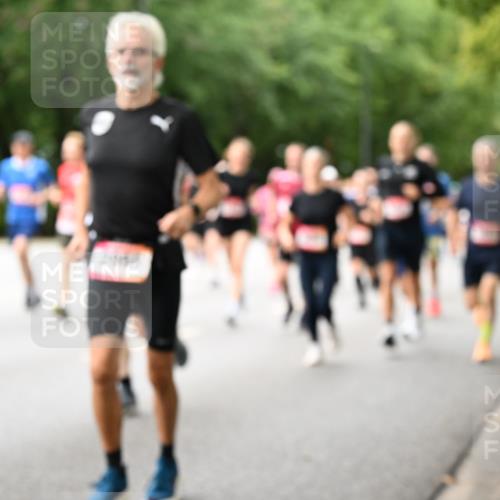 06.09.2026 - CURREX Alsterlauf Dr. Thomas Lammeyer http://msf.ph/oto/10115636 06.09.2026 09:11:02 Laufen  meine-sportfotos.de