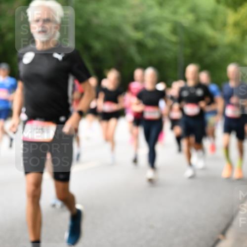 06.09.2026 - CURREX Alsterlauf Dr. Thomas Lammeyer http://msf.ph/oto/10115637 06.09.2026 09:11:02 Laufen  meine-sportfotos.de