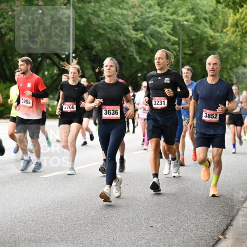 06.09.2026 - CURREX Alsterlauf Dr. Thomas Lammeyer http://msf.ph/oto/10115641 06.09.2026 09:11:03 Laufen 97, 4627, 3205, 2766, 3636, 3231, 4415, 3852 meine-sportfotos.de