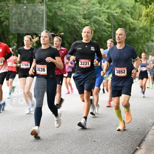 06.09.2026 - CURREX Alsterlauf Dr. Thomas Lammeyer http://msf.ph/oto/10115644 06.09.2026 09:11:03 Laufen 3205, 4615, 2766, 4623, 19, 3636, 3231, 3852 meine-sportfotos.de