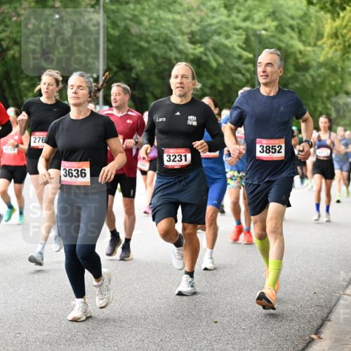 06.09.2026 - CURREX Alsterlauf Dr. Thomas Lammeyer http://msf.ph/oto/10115645 06.09.2026 09:11:04 Laufen 3203, 4615, 276, 3636, 3231, 3852 meine-sportfotos.de