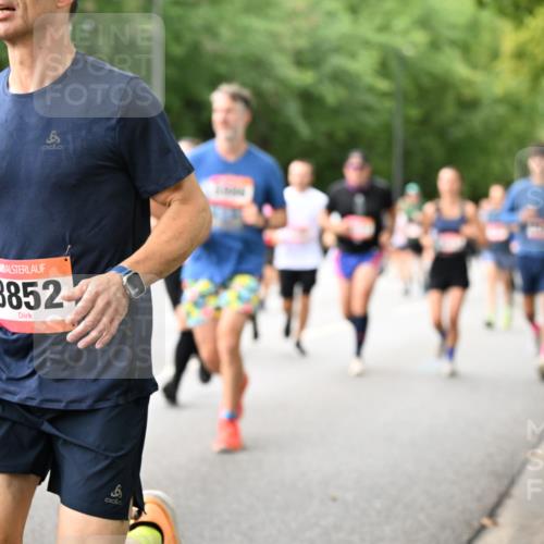 06.09.2026 - CURREX Alsterlauf Dr. Thomas Lammeyer http://msf.ph/oto/10115654 06.09.2026 09:11:05 Laufen 0, 3852 meine-sportfotos.de