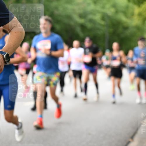 06.09.2026 - CURREX Alsterlauf Dr. Thomas Lammeyer http://msf.ph/oto/10115656 06.09.2026 09:11:05 Laufen 6 meine-sportfotos.de