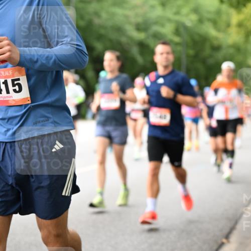 06.09.2026 - CURREX Alsterlauf Dr. Thomas Lammeyer http://msf.ph/oto/10115673 06.09.2026 09:11:08 Laufen 4415 meine-sportfotos.de