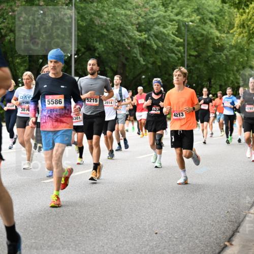 06.09.2026 - CURREX Alsterlauf Dr. Thomas Lammeyer http://msf.ph/oto/10115696 06.09.2026 09:11:12 Laufen 4856, 5501, 38, 5586, 6301, 5215, 3914, 132, 4213, 3497, 4797, 1 meine-sportfotos.de