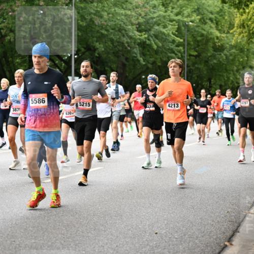06.09.2026 - CURREX Alsterlauf Dr. Thomas Lammeyer http://msf.ph/oto/10115697 06.09.2026 09:11:12 Laufen 3875, 5586, 5215, 03, 132, 4213, 4574, 3497, 630, 4797 meine-sportfotos.de