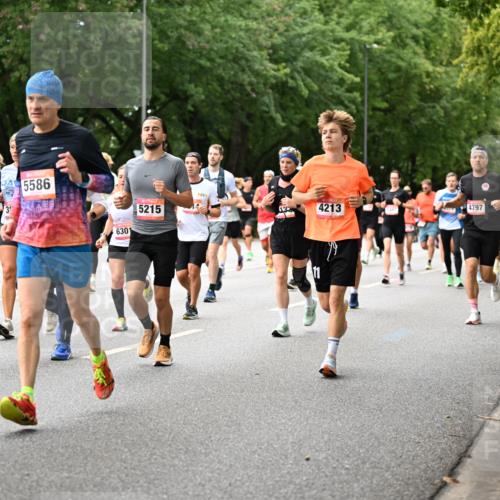 06.09.2026 - CURREX Alsterlauf Dr. Thomas Lammeyer http://msf.ph/oto/10115698 06.09.2026 09:11:12 Laufen 4682, 5501, 3, 5586, 6301, 5215, 12, 4213, 4797 meine-sportfotos.de