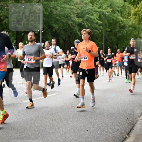 06.09.2026 - CURREX Alsterlauf Dr. Thomas Lammeyer http://msf.ph/oto/10115700 06.09.2026 09:11:12 Laufen 5586, 5213, 91, 4213, 4797 meine-sportfotos.de