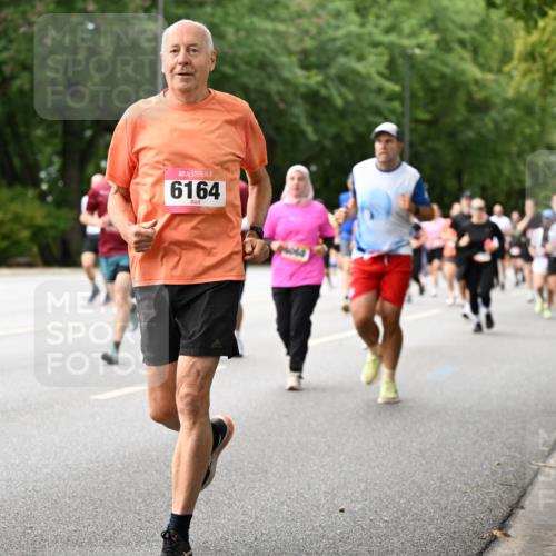 06.09.2026 - CURREX Alsterlauf Dr. Thomas Lammeyer http://msf.ph/oto/10115748 06.09.2026 09:11:22 Laufen 6164 meine-sportfotos.de