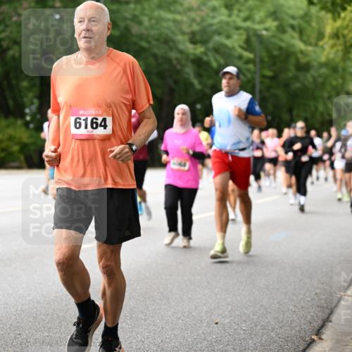 06.09.2026 - CURREX Alsterlauf Dr. Thomas Lammeyer http://msf.ph/oto/10115749 06.09.2026 09:11:22 Laufen 6164 meine-sportfotos.de
