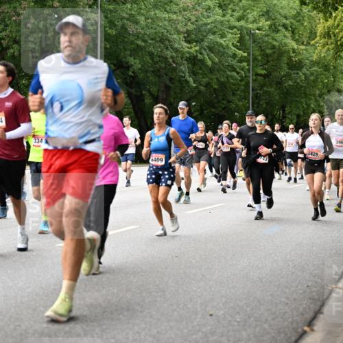 06.09.2026 - CURREX Alsterlauf Dr. Thomas Lammeyer http://msf.ph/oto/10115756 06.09.2026 09:11:23 Laufen 3929, 5054, 334, 6409, 4531, 2428, 2065, 47, 847, 1239 meine-sportfotos.de