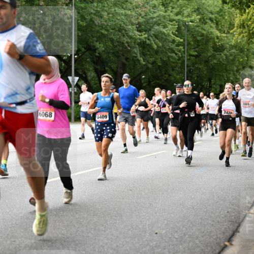 06.09.2026 - CURREX Alsterlauf Dr. Thomas Lammeyer http://msf.ph/oto/10115759 06.09.2026 09:11:23 Laufen 5054, 6068, 24, 2065, 2531, 2133, 2428, 6409 meine-sportfotos.de