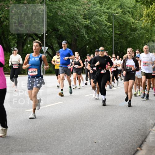 06.09.2026 - CURREX Alsterlauf Dr. Thomas Lammeyer http://msf.ph/oto/10115764 06.09.2026 09:11:24 Laufen 344, 6068, 3519, 6409, 2065, 388, 242, 2947, 1239, 2120 meine-sportfotos.de