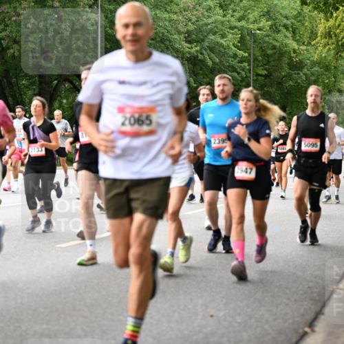 06.09.2026 - CURREX Alsterlauf Dr. Thomas Lammeyer http://msf.ph/oto/10115782 06.09.2026 09:11:27 Laufen 3804, 2133, 2065, 2395, 2947, 5081, 5095, 2120 meine-sportfotos.de
