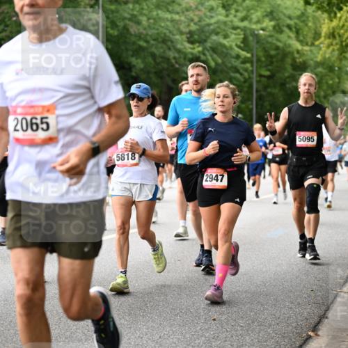 06.09.2026 - CURREX Alsterlauf Dr. Thomas Lammeyer http://msf.ph/oto/10115785 06.09.2026 09:11:28 Laufen 6242, 2065, 5818, 2947, 5095 meine-sportfotos.de