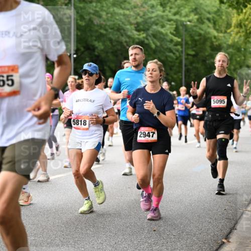 06.09.2026 - CURREX Alsterlauf Dr. Thomas Lammeyer http://msf.ph/oto/10115786 06.09.2026 09:11:28 Laufen 6242, 2065, 5818, 2947, 5095 meine-sportfotos.de