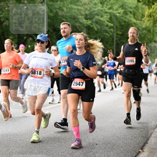 06.09.2026 - CURREX Alsterlauf Dr. Thomas Lammeyer http://msf.ph/oto/10115788 06.09.2026 09:11:28 Laufen 2343, 5818, 239, 5095, 2947 meine-sportfotos.de