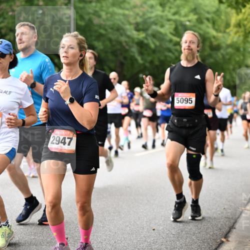 06.09.2026 - CURREX Alsterlauf Dr. Thomas Lammeyer http://msf.ph/oto/10115792 06.09.2026 09:11:29 Laufen 2343, 5818, 2947, 5095 meine-sportfotos.de