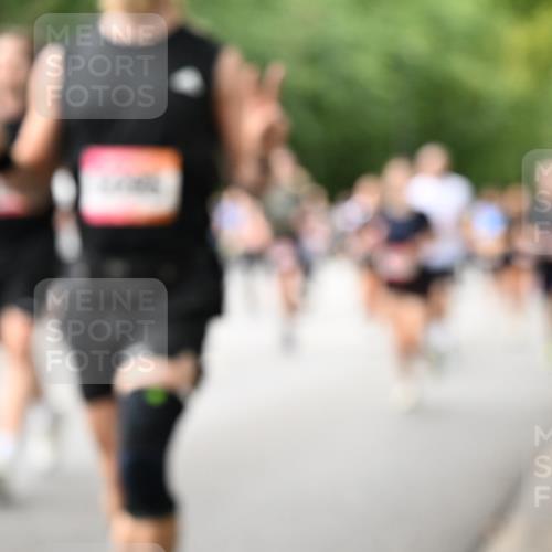 06.09.2026 - CURREX Alsterlauf Dr. Thomas Lammeyer http://msf.ph/oto/10115798 06.09.2026 09:11:30 Laufen  meine-sportfotos.de