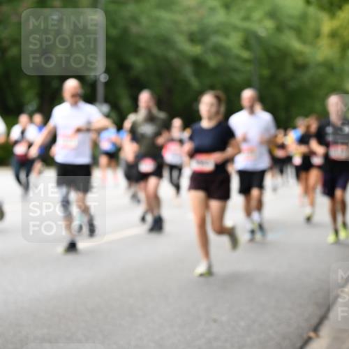 06.09.2026 - CURREX Alsterlauf Dr. Thomas Lammeyer http://msf.ph/oto/10115804 06.09.2026 09:11:30 Laufen  meine-sportfotos.de