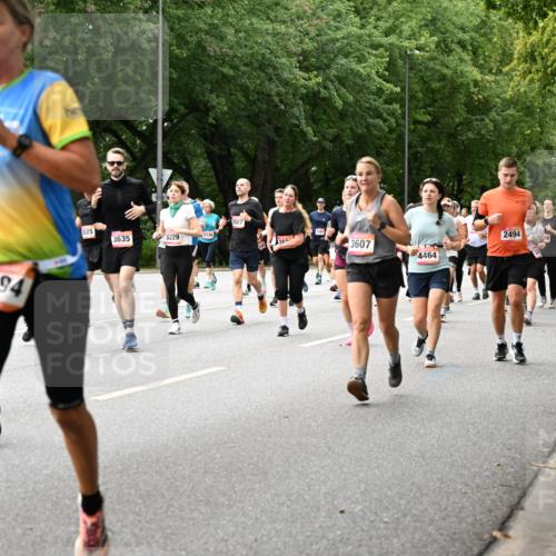 06.09.2026 - CURREX Alsterlauf Dr. Thomas Lammeyer http://msf.ph/oto/10115818 06.09.2026 09:11:35 Laufen 54, 6394, 3507, 025, 3635, 5229, 5139, 3607, 4464, 2494, 293 meine-sportfotos.de