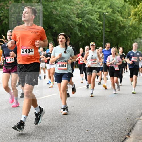 06.09.2026 - CURREX Alsterlauf Dr. Thomas Lammeyer http://msf.ph/oto/10115838 06.09.2026 09:11:38 Laufen 86, 507, 3735, 2494, 4464, 2968, 247, 2931 meine-sportfotos.de