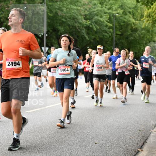 06.09.2026 - CURREX Alsterlauf Dr. Thomas Lammeyer http://msf.ph/oto/10115839 06.09.2026 09:11:38 Laufen 3507, 2494, 24304464, 2931, 2968 meine-sportfotos.de