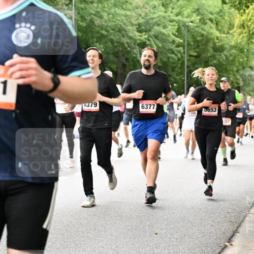 06.09.2026 - CURREX Alsterlauf Dr. Thomas Lammeyer http://msf.ph/oto/10115863 06.09.2026 09:11:42 Laufen 2931, 0379, 6377, 2308, 653, 257, 5810 meine-sportfotos.de