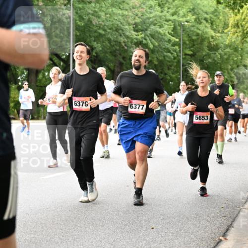 06.09.2026 - CURREX Alsterlauf Dr. Thomas Lammeyer http://msf.ph/oto/10115864 06.09.2026 09:11:43 Laufen 8, 145, 6379, 6377, 5653, 5810 meine-sportfotos.de