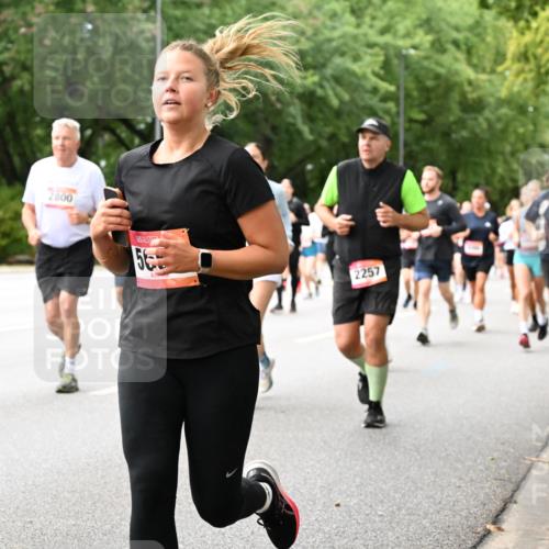 06.09.2026 - CURREX Alsterlauf Dr. Thomas Lammeyer http://msf.ph/oto/10115875 06.09.2026 09:11:44 Laufen 8130, 2800, 56, 2257, 5410 meine-sportfotos.de