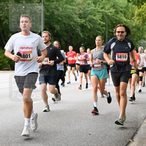 06.09.2026 - CURREX Alsterlauf Dr. Thomas Lammeyer http://msf.ph/oto/10115891 06.09.2026 09:11:47 Laufen 4801, 165, 4712, 4805, 5810, 0, 865 meine-sportfotos.de