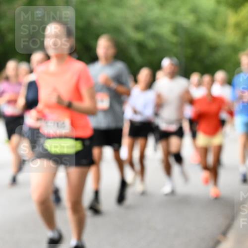 06.09.2026 - CURREX Alsterlauf Dr. Thomas Lammeyer http://msf.ph/oto/10115909 06.09.2026 09:11:49 Laufen  meine-sportfotos.de
